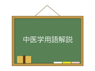 精について【中医学用語解説】