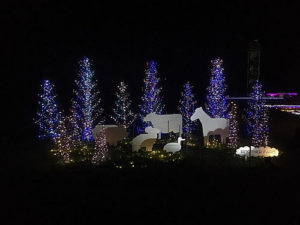 マザー牧場で開催中のイルミネーション「光の花園」